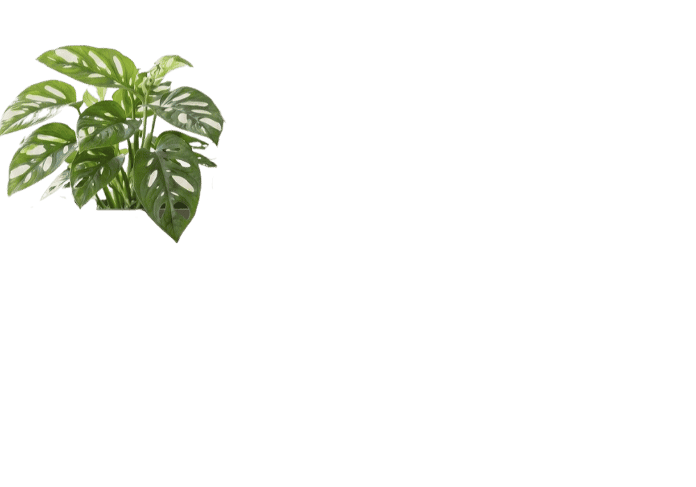 Vessel variants: click a region to view that option